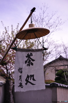 茶処