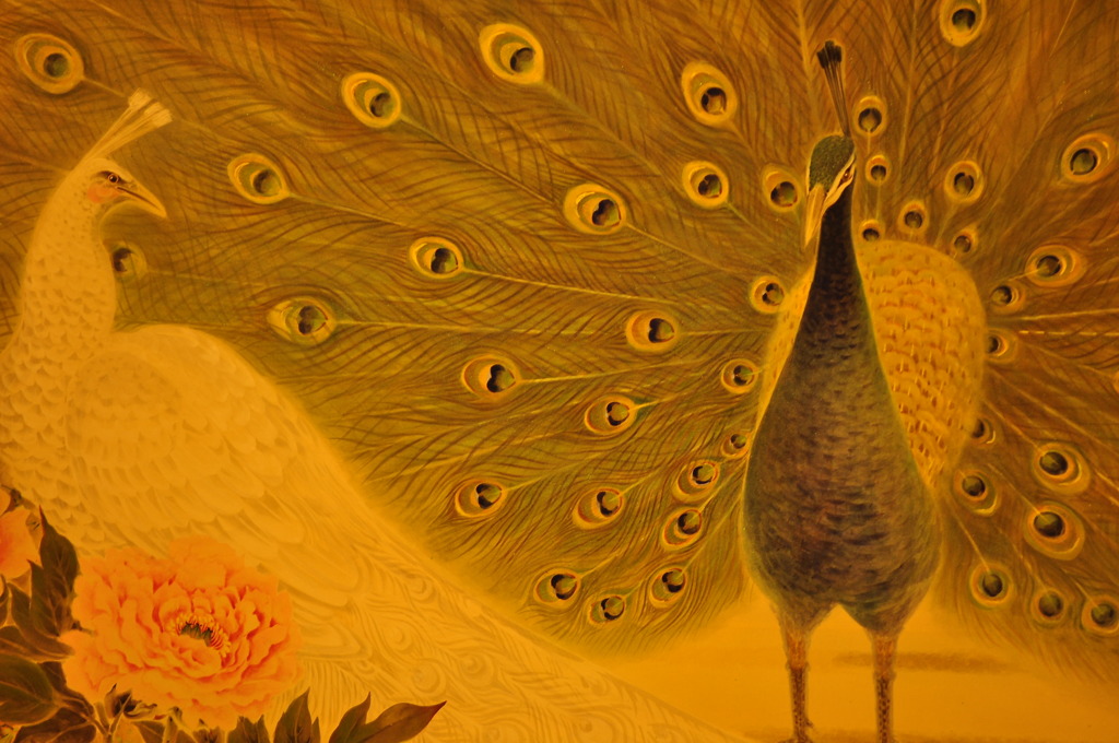 peacocks