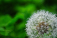 puff