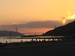 bridge