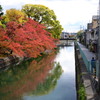 紅葉をうつす川