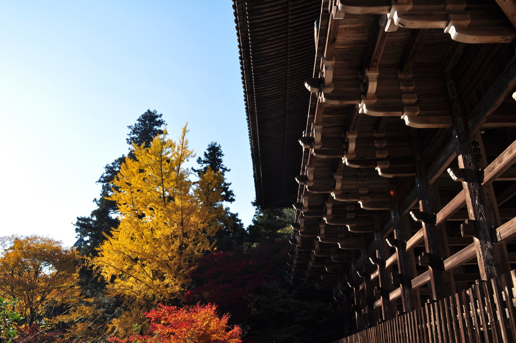 書写山　紅葉