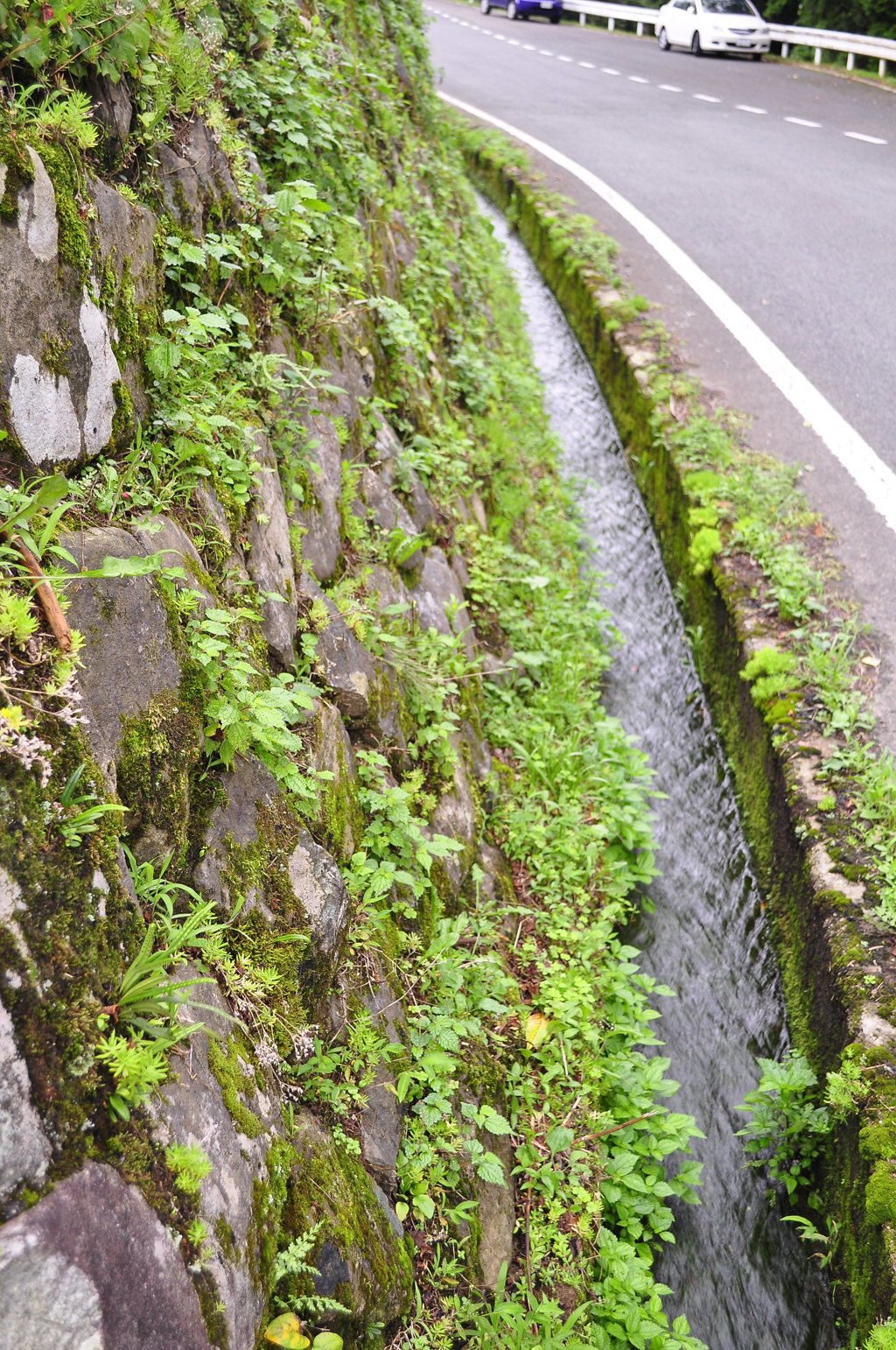 急流すべり