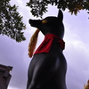 foxy silhouette