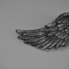 Right wing