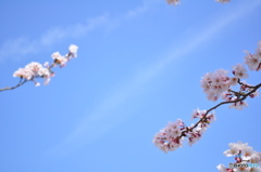 そら