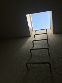 escape