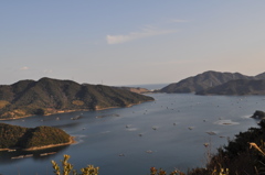 fish farm