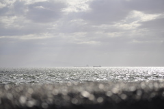 海