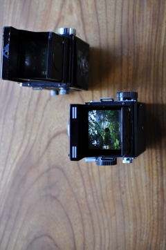 twin‐lens reflex camera