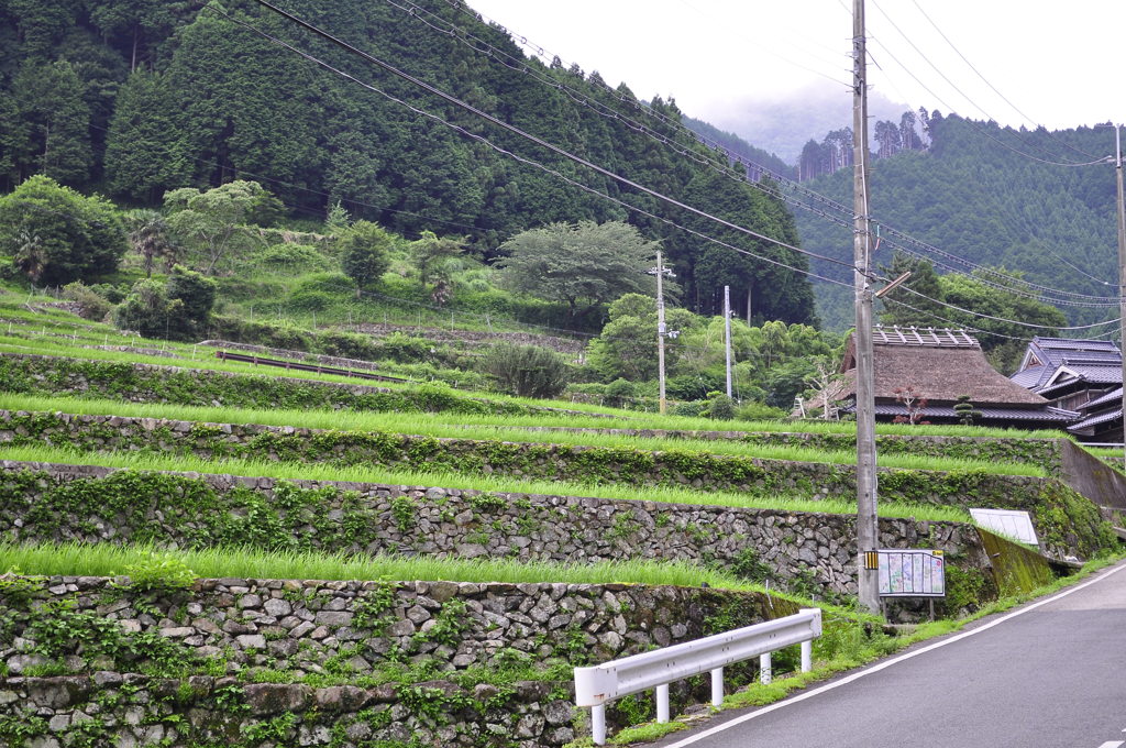 棚田の石垣