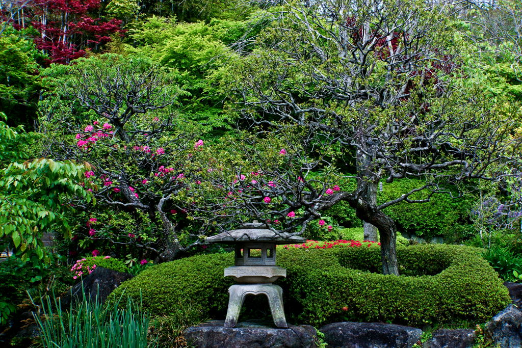 鎌倉・長谷寺の庭園