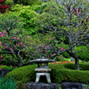 鎌倉・長谷寺の庭園
