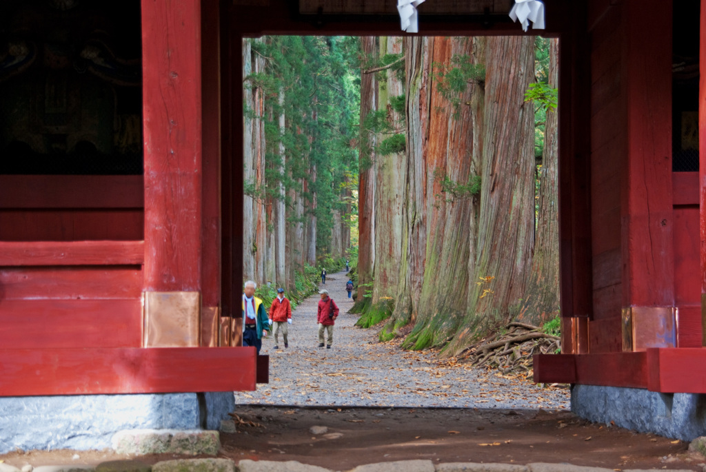 長ーい参道