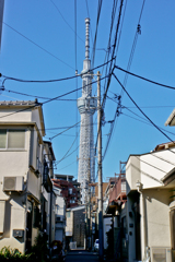 スカイツリーが見える風景