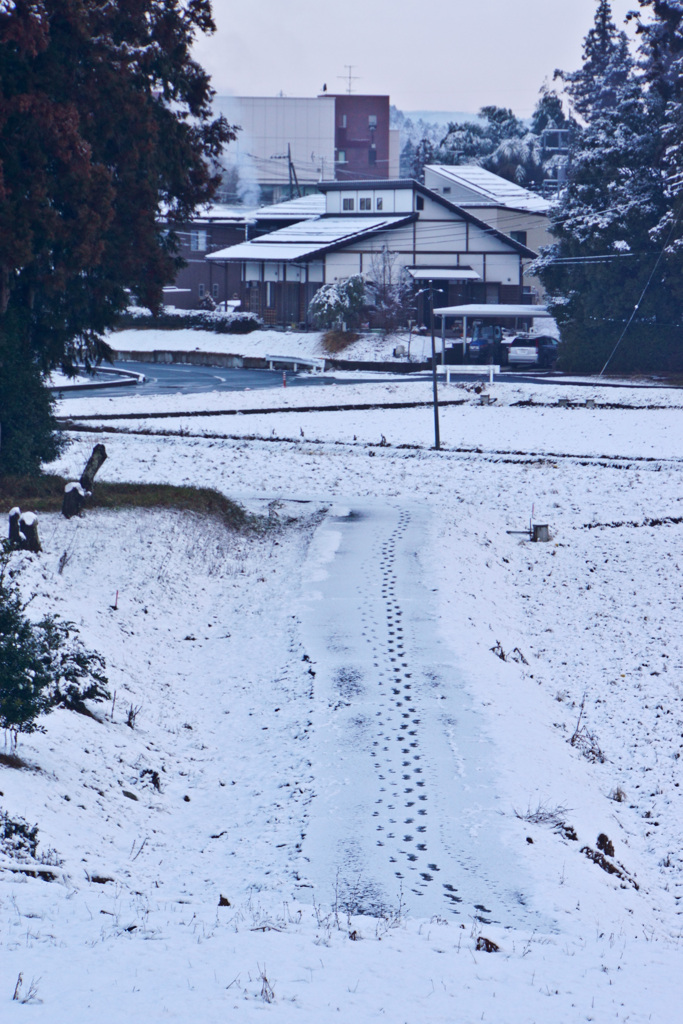 雪景色