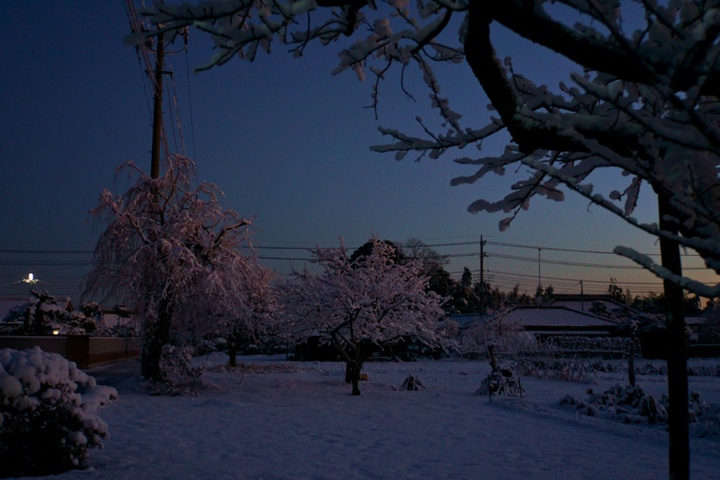 雪景色