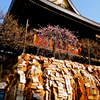寺社の写真