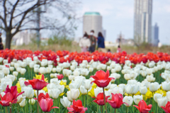 花の写真