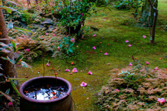 鎌倉