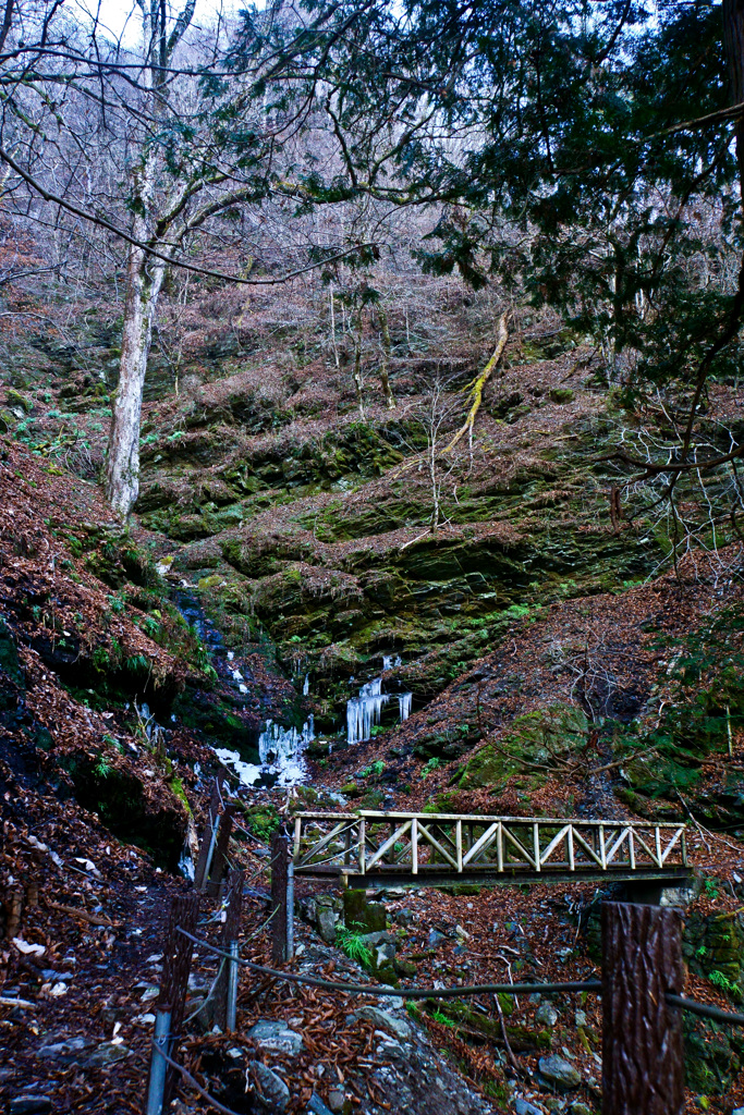 三峯神社参道