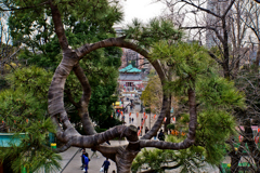 上野公園