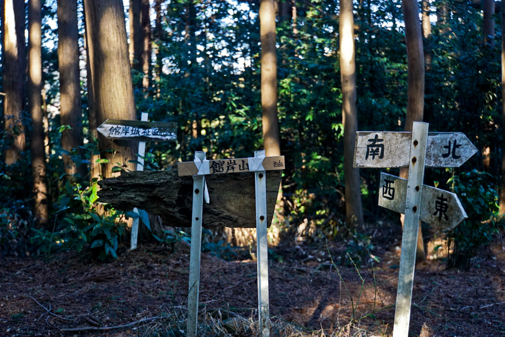山の写真