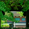 寺社の写真