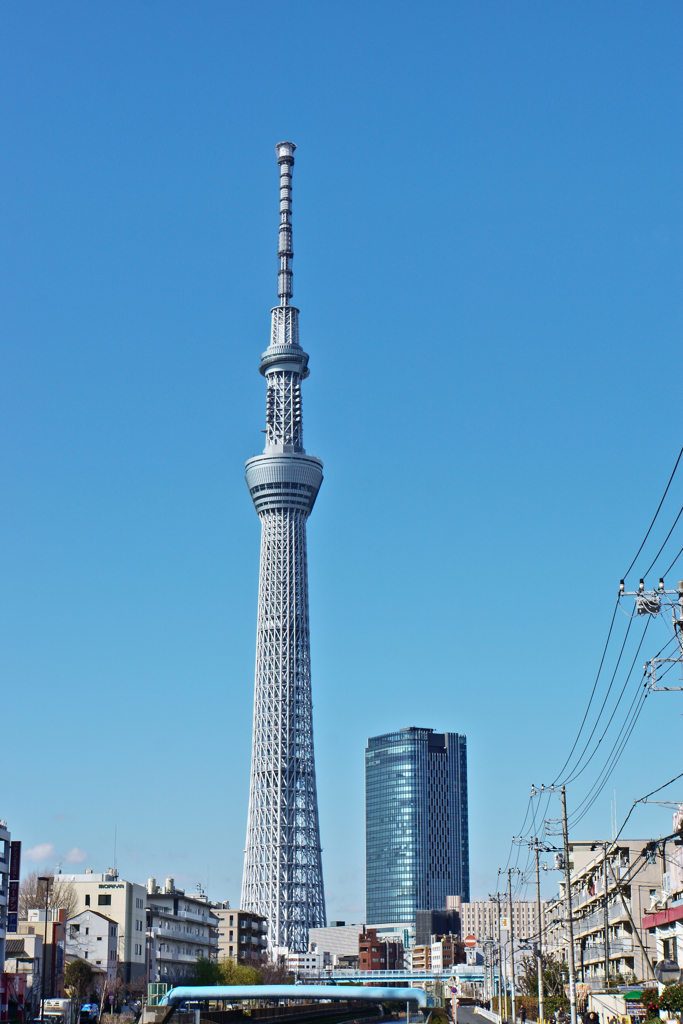 スカイツリーが見える風景