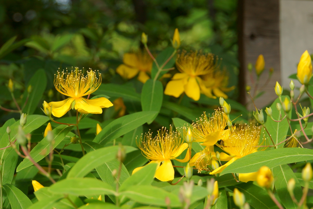 ぷかぷかと。。