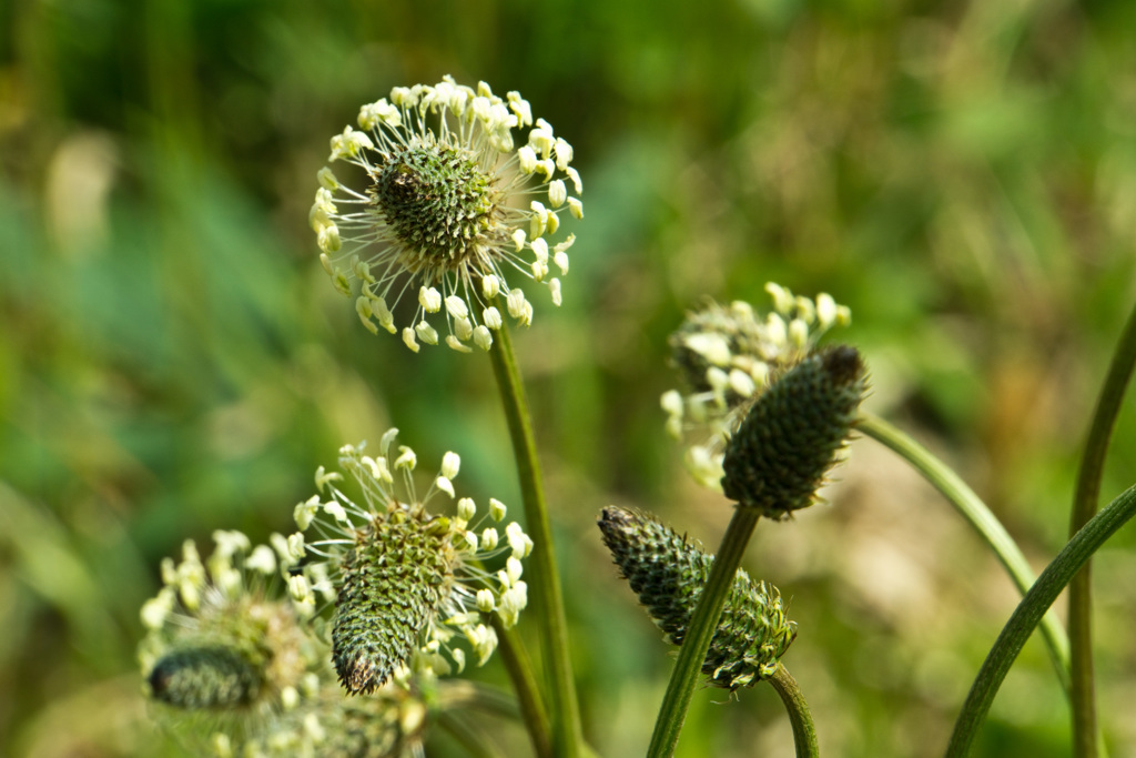 なんとなくスペーシー