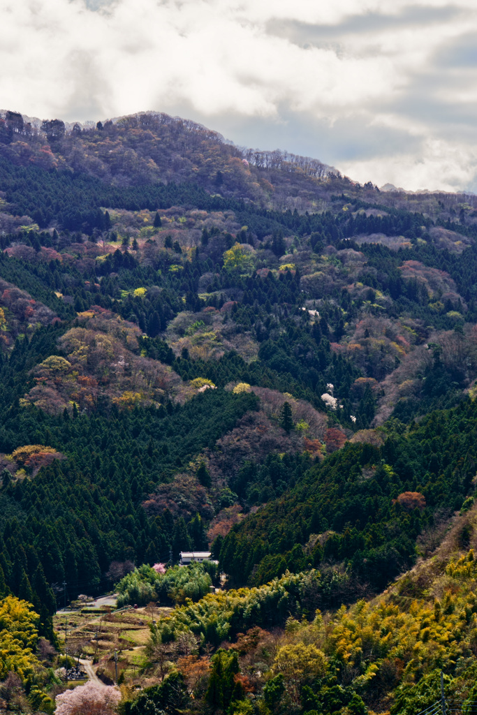 春の里山