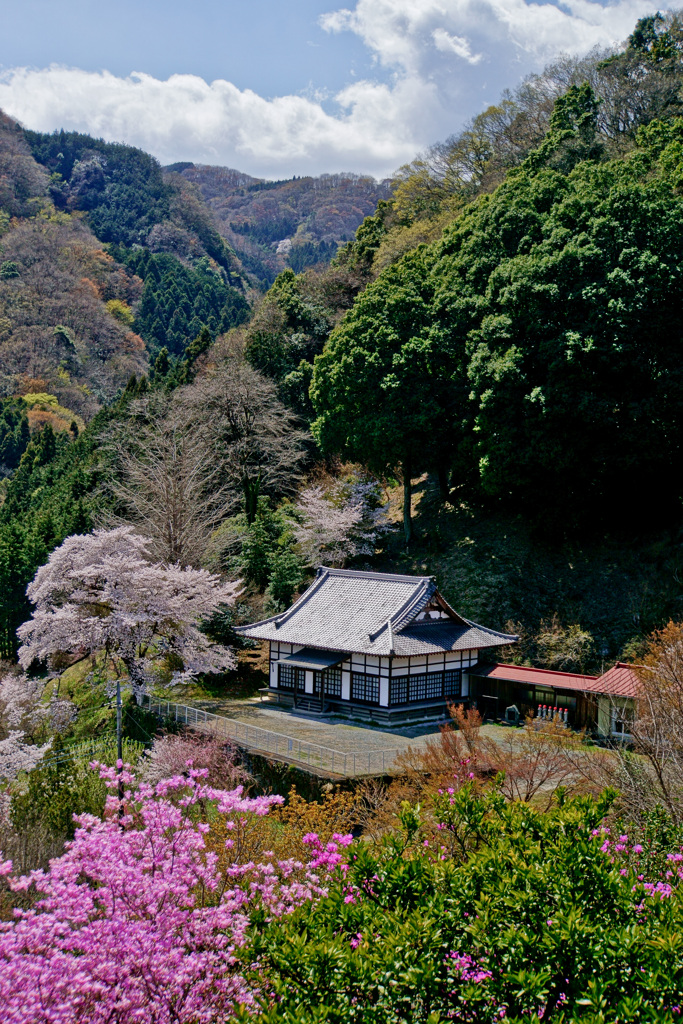 春の里山