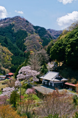 里山の春