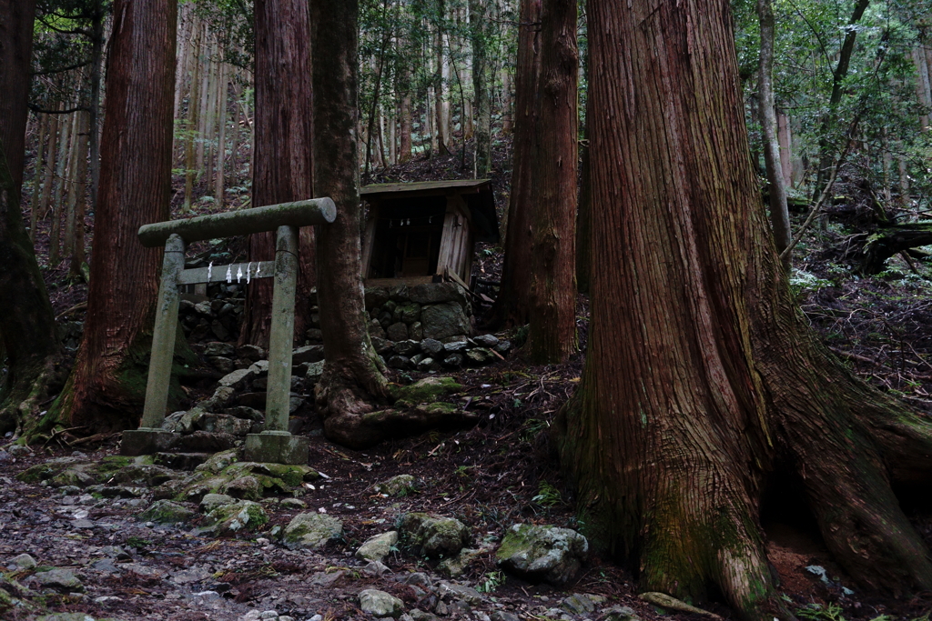 山歩き