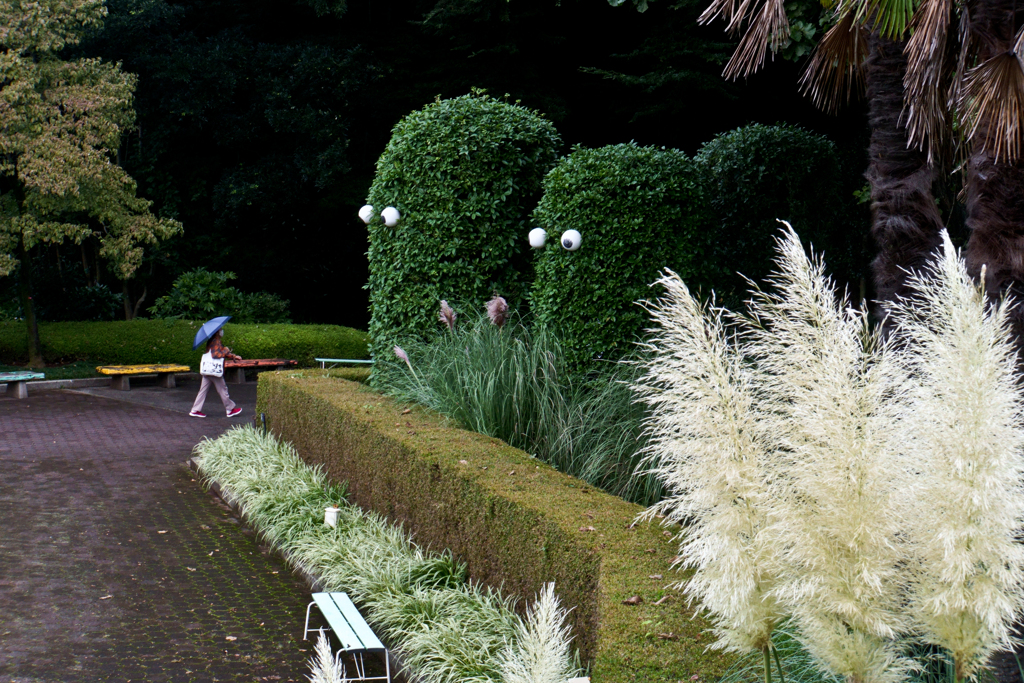 意外とみんな素通り・・・