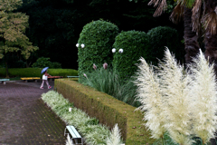 意外とみんな素通り・・・