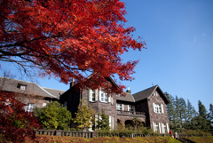 2006年12月、旧古河庭園で