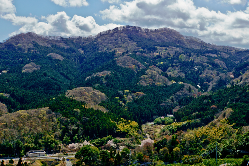 春の里山