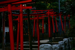 根津神社の鳥居