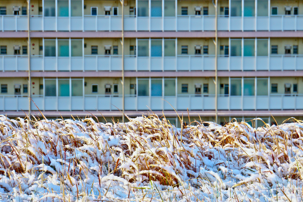 雪景色