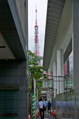 隙間の東京タワー