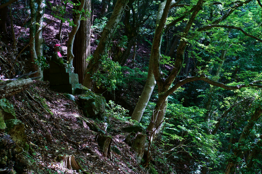 丹沢大山の山道