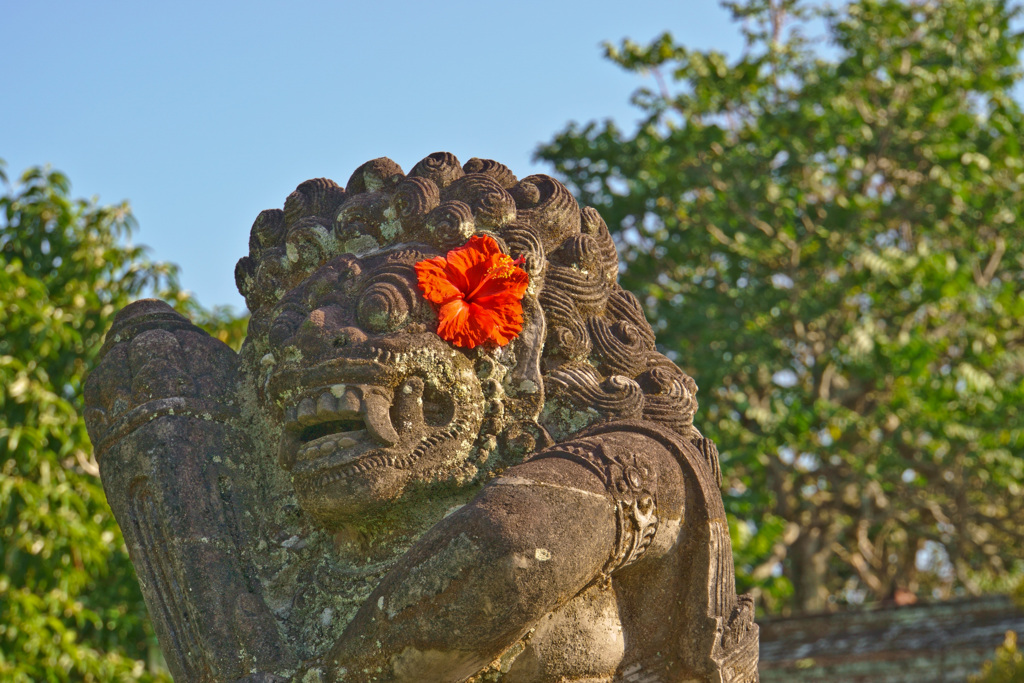 花の写真