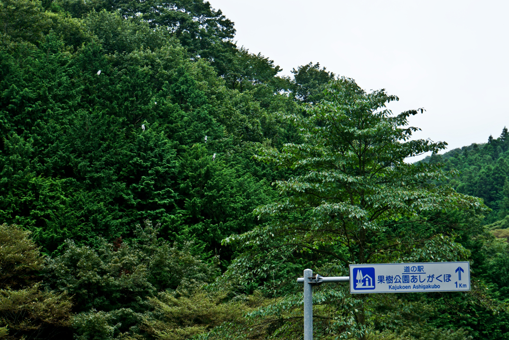 山の写真