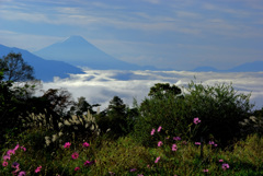 雲海と富士山（だと思うんです）