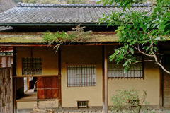 鎌倉・円覚寺で