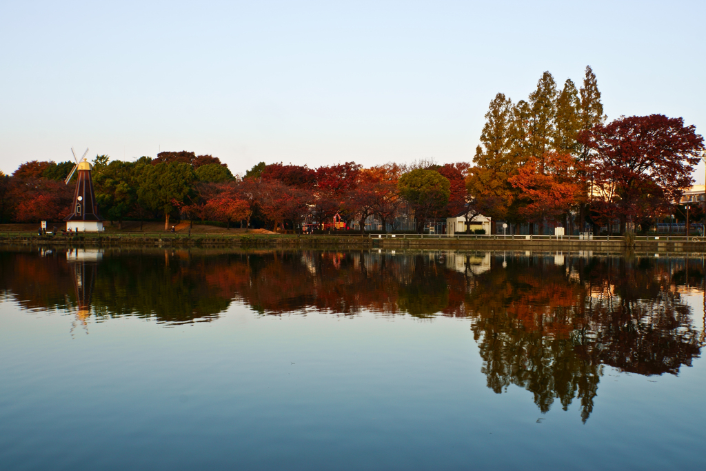 公園の朝