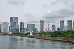 浜離宮越しに東京タワー