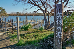 水辺の写真